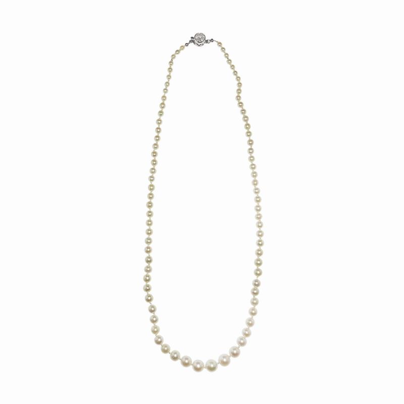 Girocollo in Platino, Diamante e Perle Naturali
