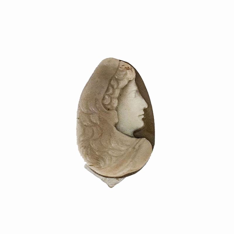 Cammeo in conchiglia raffigurante profilo di Ercole