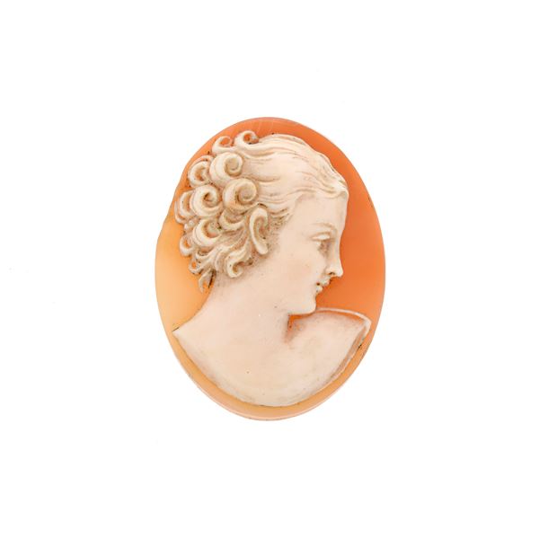 Shell cameo depicting female face