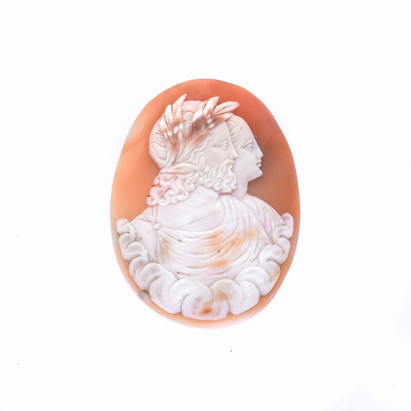 Cammeo in conchiglia