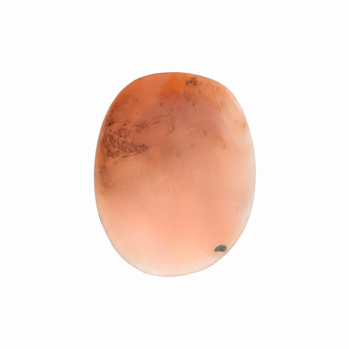 Cammeo in conchiglia